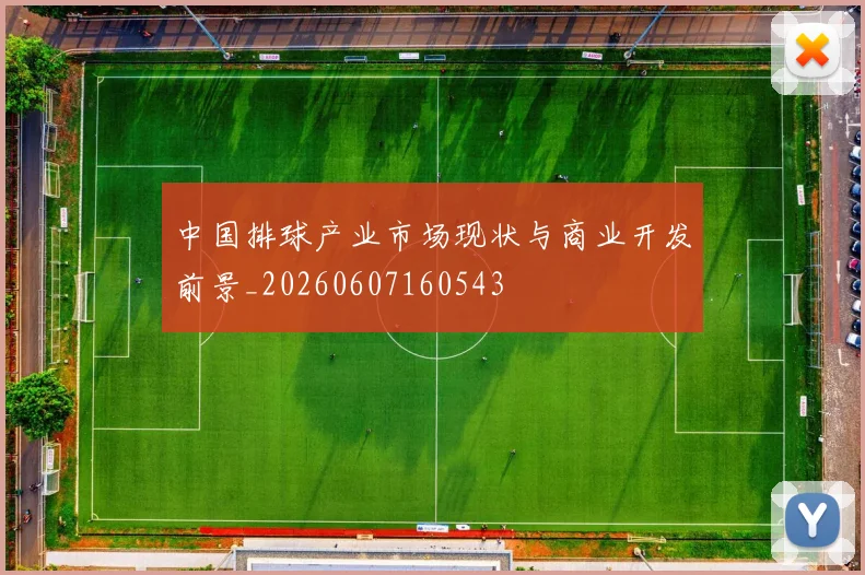 中国排球产业市场现状与商业开发前景_20260607160543