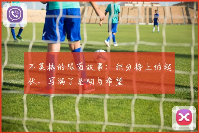 不莱梅的绿茵故事:积分榜上的起伏,写满了坚韧与希望