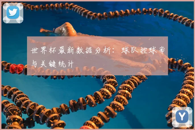 世界杯最新数据分析：球队控球率与关键统计