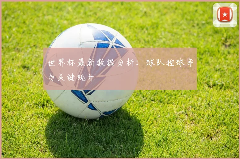 世界杯最新数据分析:球队控球率与关键统计