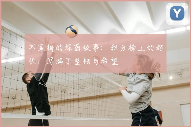 不莱梅的绿茵故事：积分榜上的起伏，写满了坚韧与希望