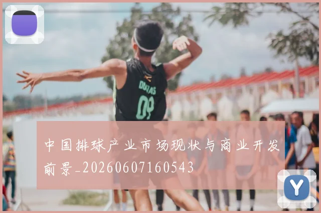 中国排球产业市场现状与商业开发前景_20260607160543